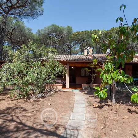 Garden Pine House *